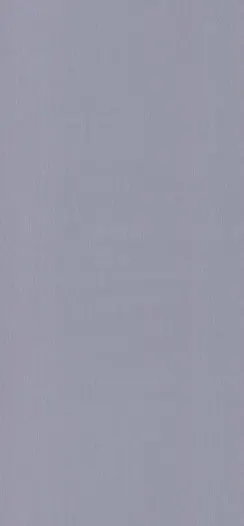 Сріблястий металік L105001 Ral 9022