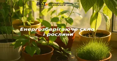 Енергозберігаюче скло і рослини